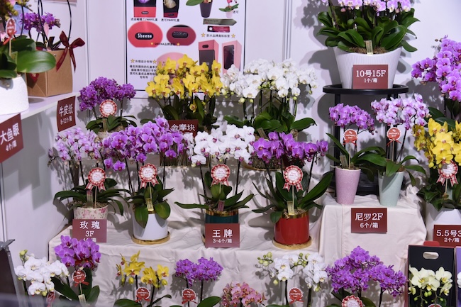 2024IFEX东京花卉展有哪些参展商-展商名单-会刊