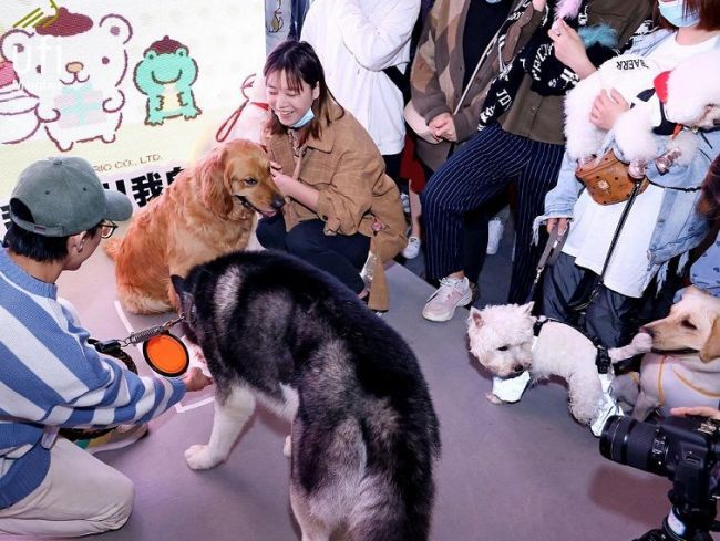 2025台湾宠物展参展指南-展位预定流程详解