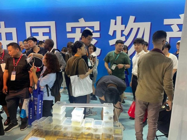 义乌1.jpg