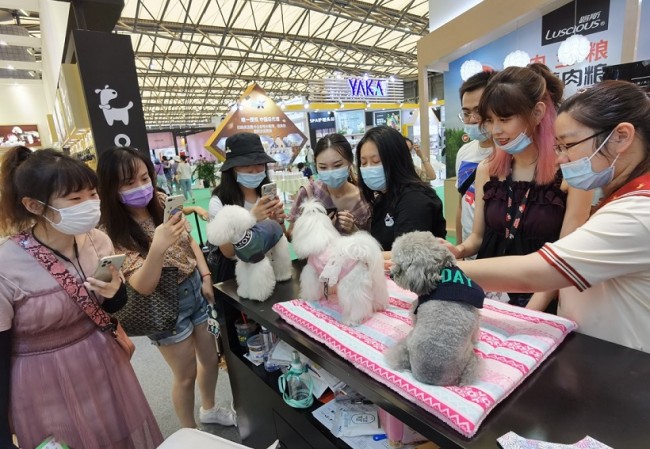 2025深圳亚宠展参展企业介绍_展商名录预订