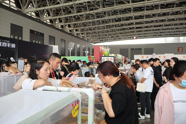 2025上海亚洲宠物展展商名录如何预订