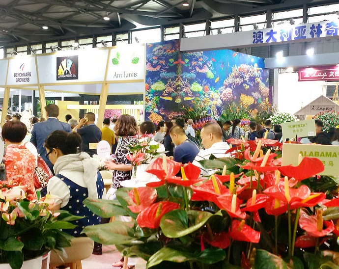 北京花卉3.jpg
