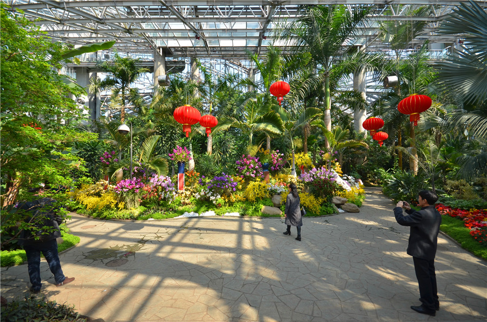 上海花卉2.jpg