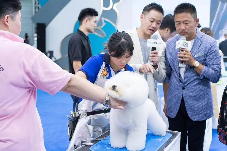 2025上海亚宠展8月开展倒计时-最新时间表